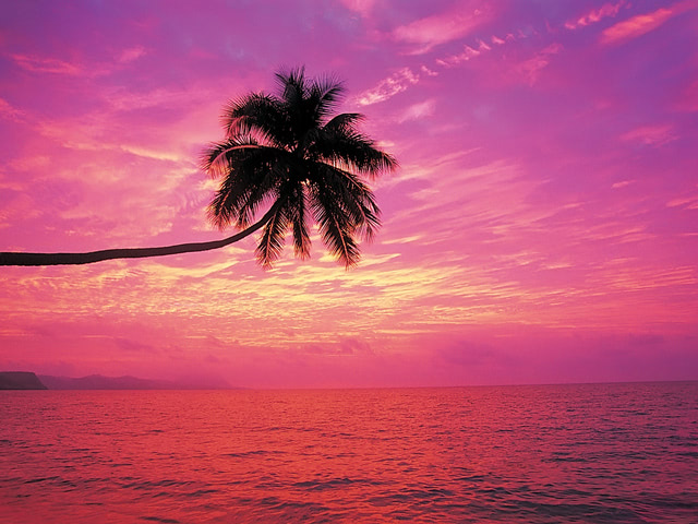 beach sunset wallpaper