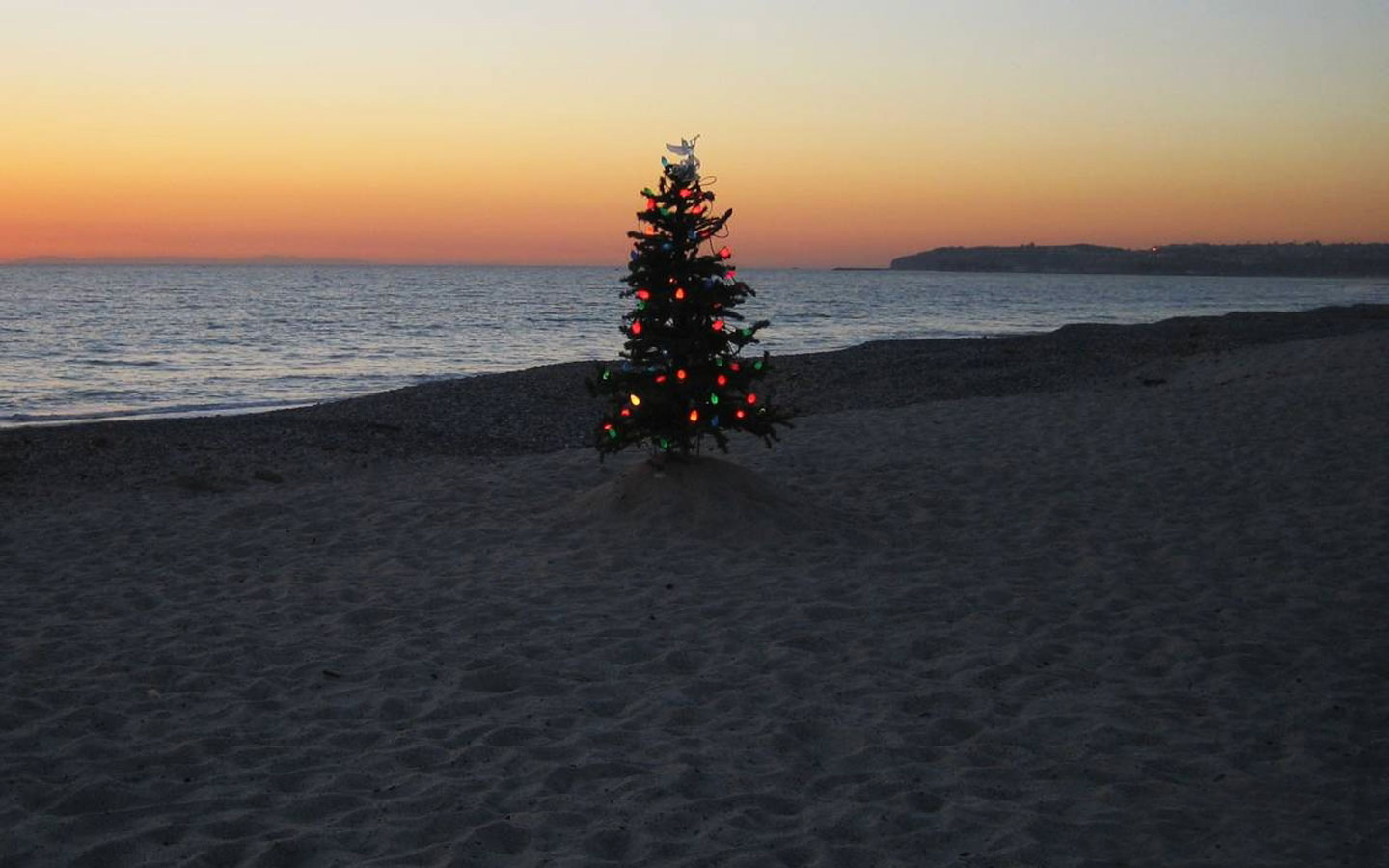 елка на пляже