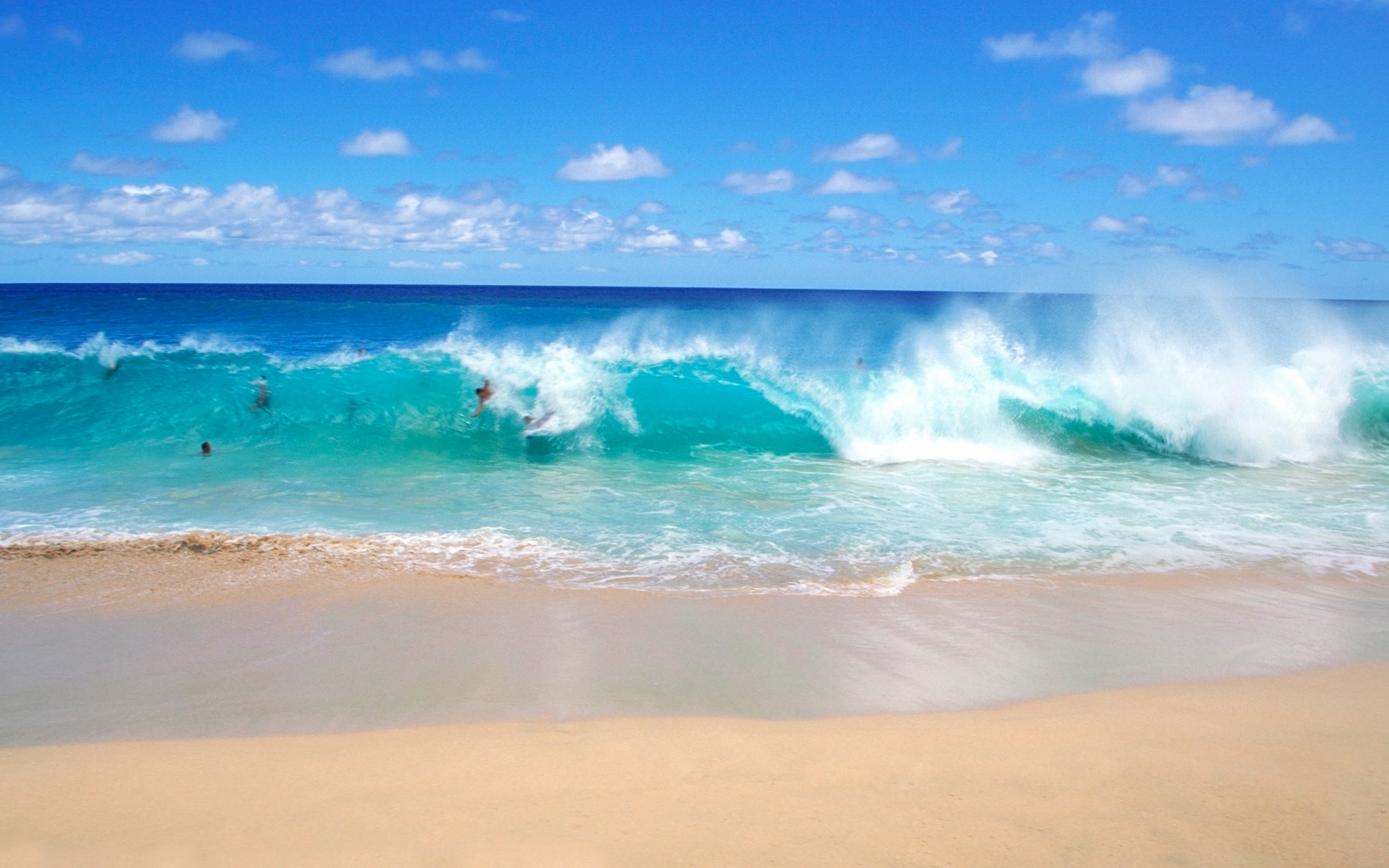 fun-on-the-playful-ocean-waves-wallpaper-beach-wallpapers